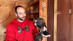 PARNS: A Falconer and His Hawk